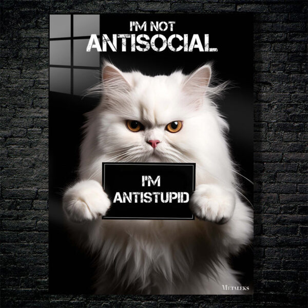 Antisocial Cute Cat
