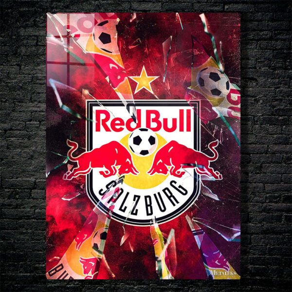 FC Salzburg poster