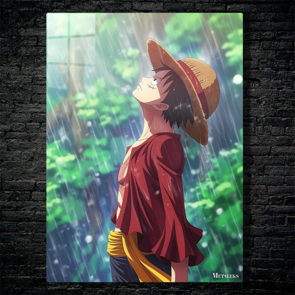 Luffy in the rain H0729-25